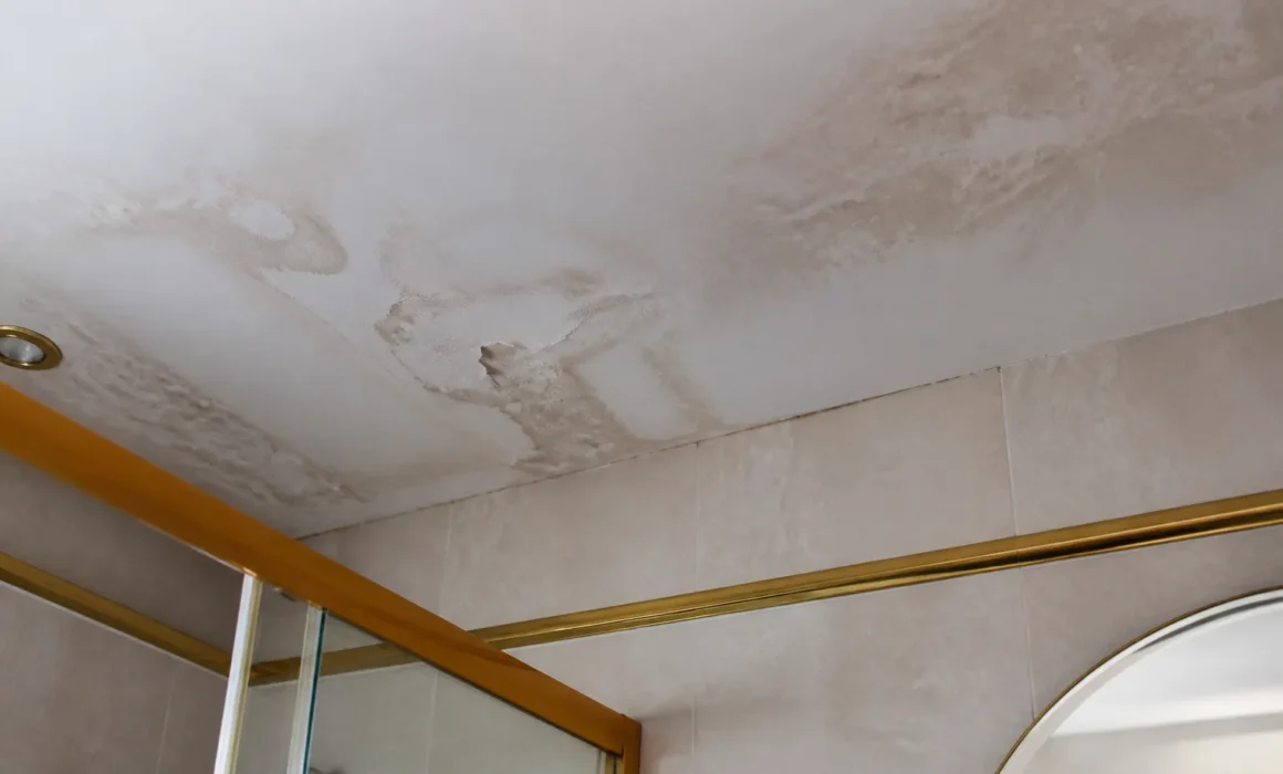 "Plafond