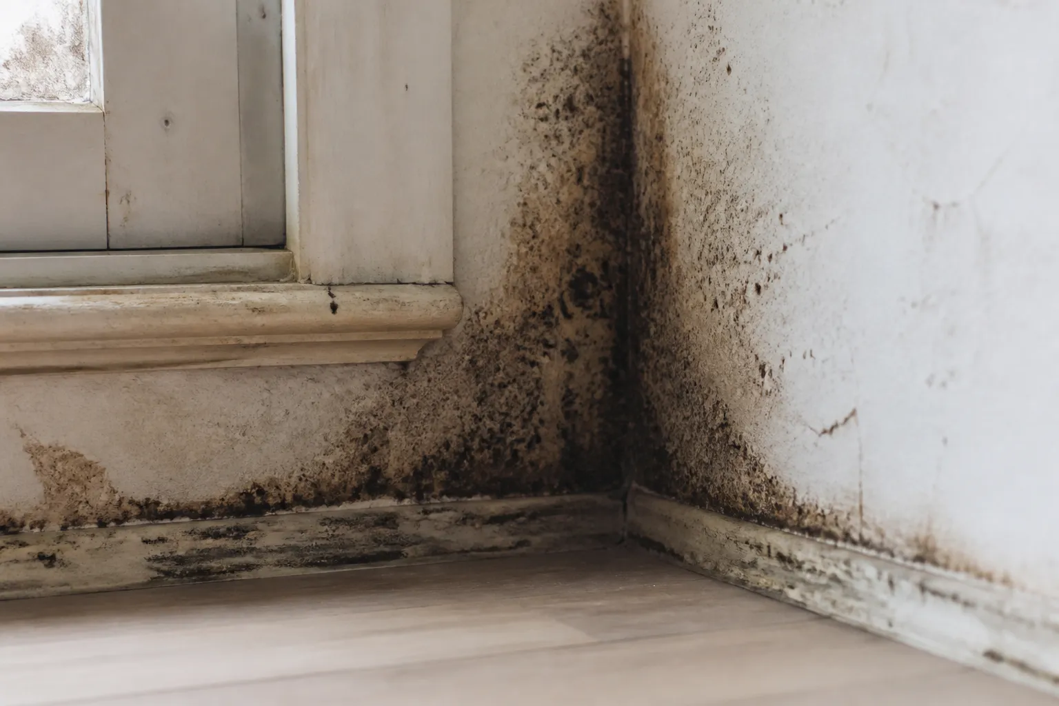 Mesure de l humidite d un mur a Lyon 9e