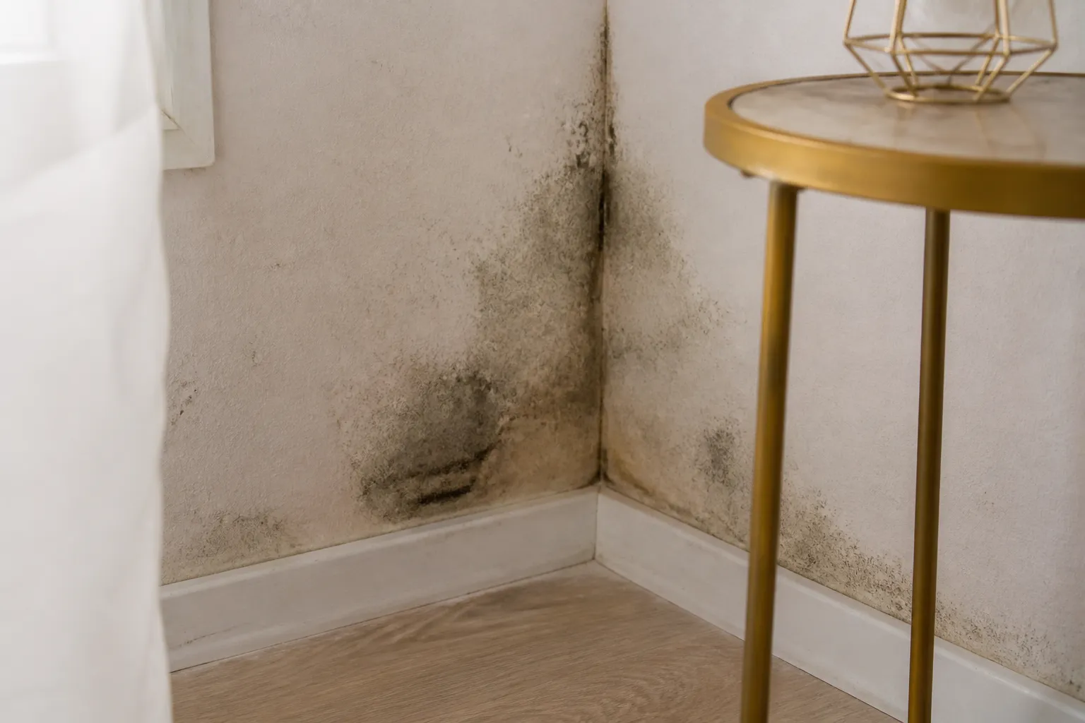 Mesure de l humidite d un mur a Vaulx-en-Velin
