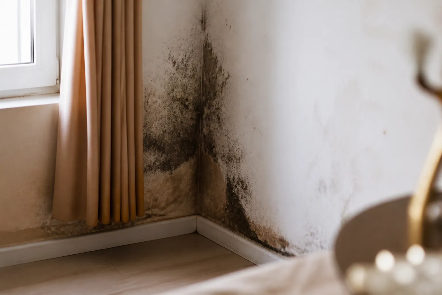 Mesure de l humidite d un mur a Vénissieux